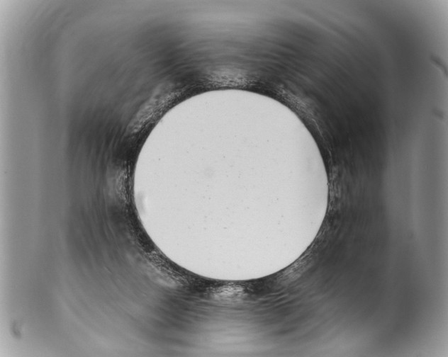 X0000101170162200807251141