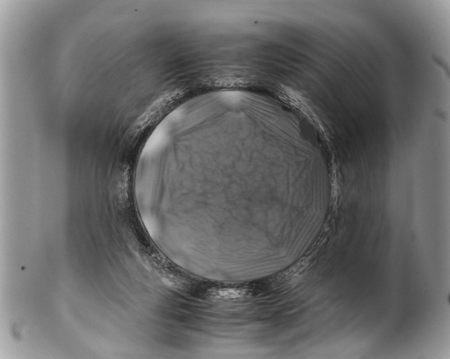 X0000101170163200807251141