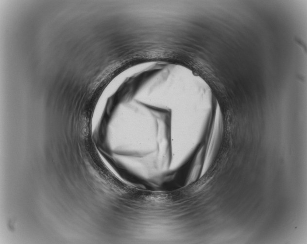 X0000101170164200807251141