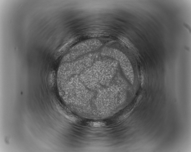 X0000101170165200807251141