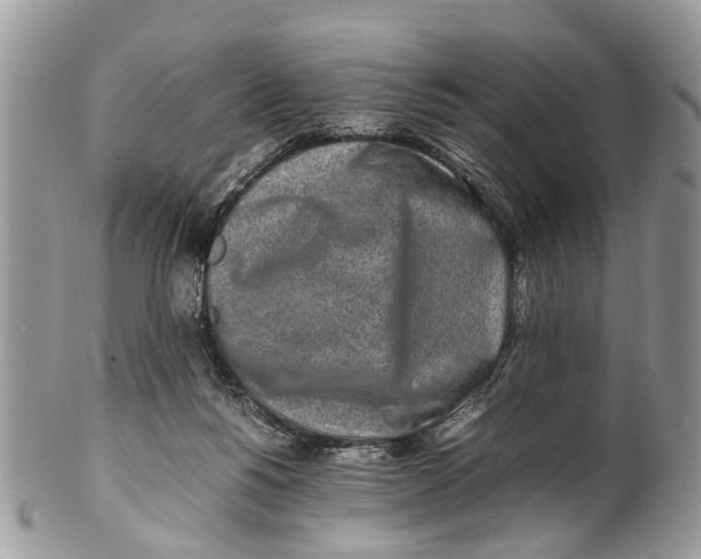 X0000101170168200807251141