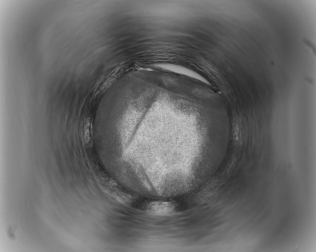 X0000101170169200807251141