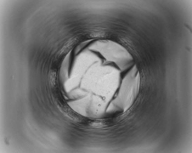 X0000101170171200807251141
