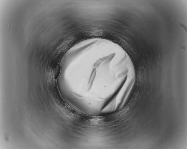 X0000101170172200807251141