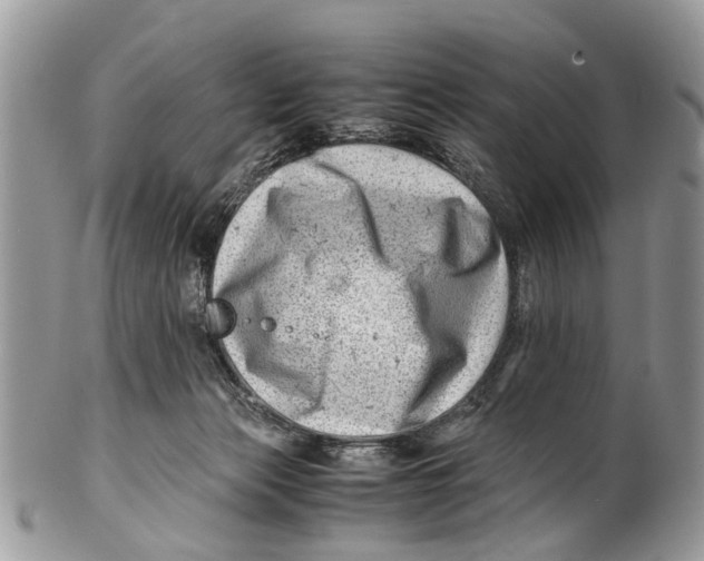 X0000101170173200807251141