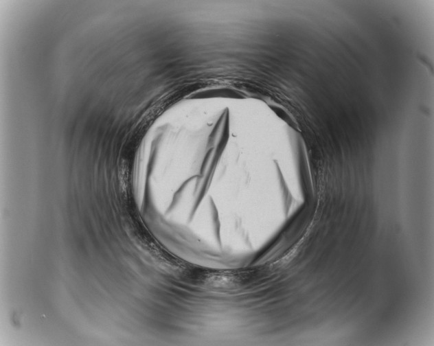 X0000101170174200807251141
