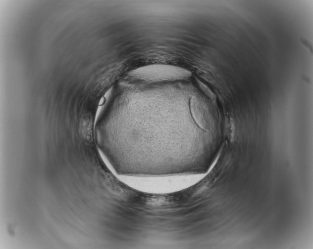 X0000101170177200807251141