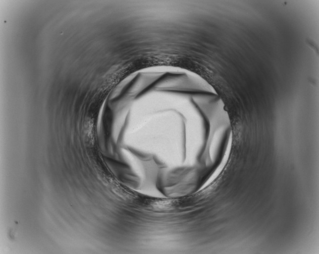 X0000101170178200807251141