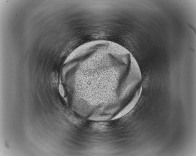 X0000101170179200807251141