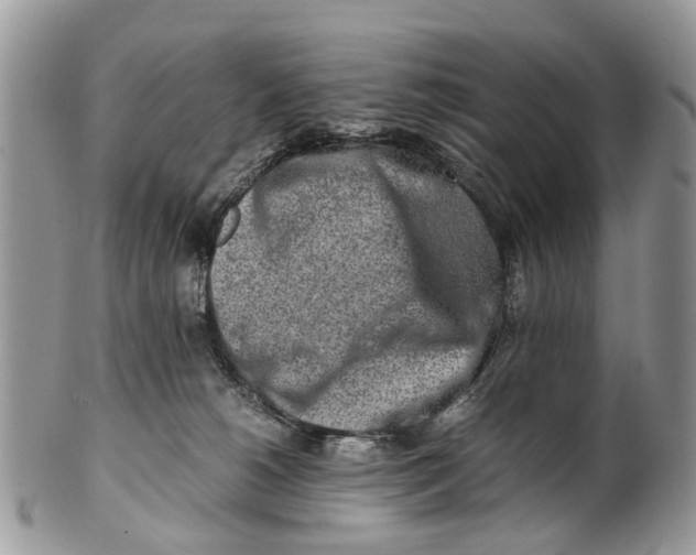 X0000101170180200807251141