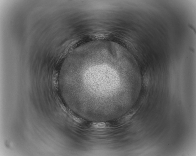 X0000101170181200807251141