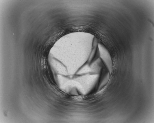 X0000101170182200807251141
