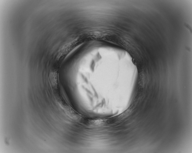 X0000101170184200807251141