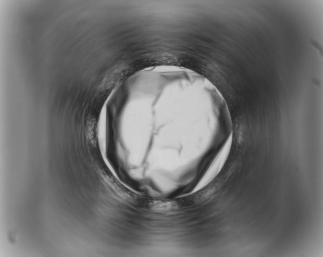 X0000101170185200807251141