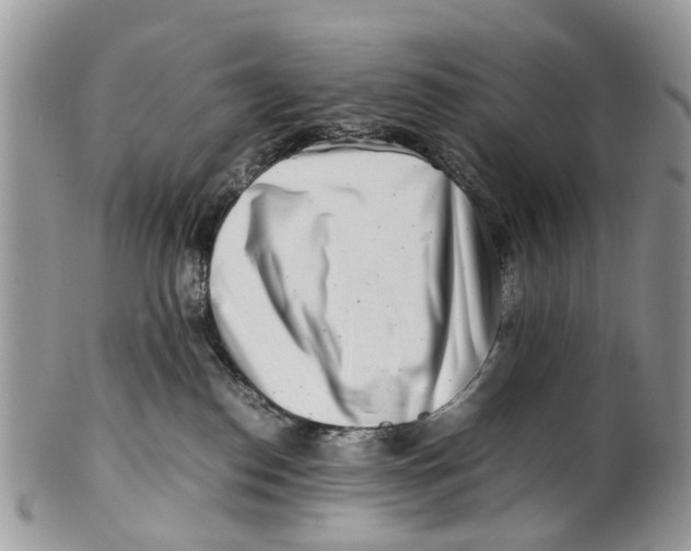 X0000101170186200807251141