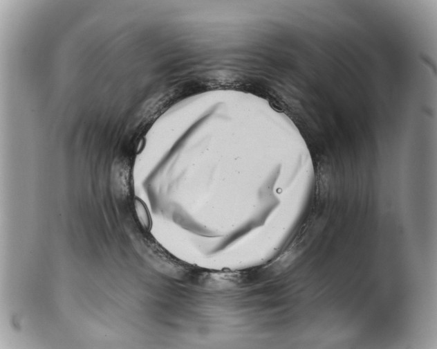 X0000101170188200807251141