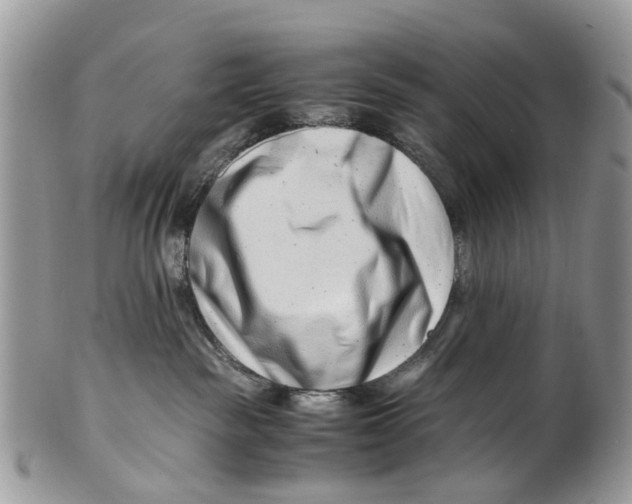 X0000101170189200807251141
