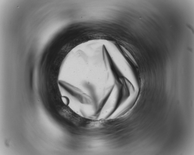 X0000101170190200807251141