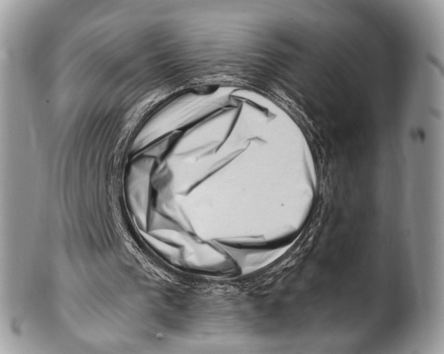 X0000101170193200807251140
