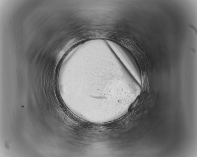 X0000101170195200807251140