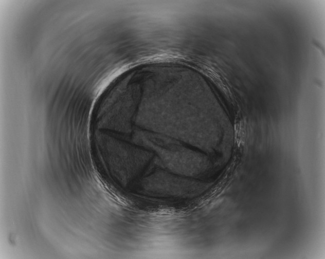 X0000101170196200807251140