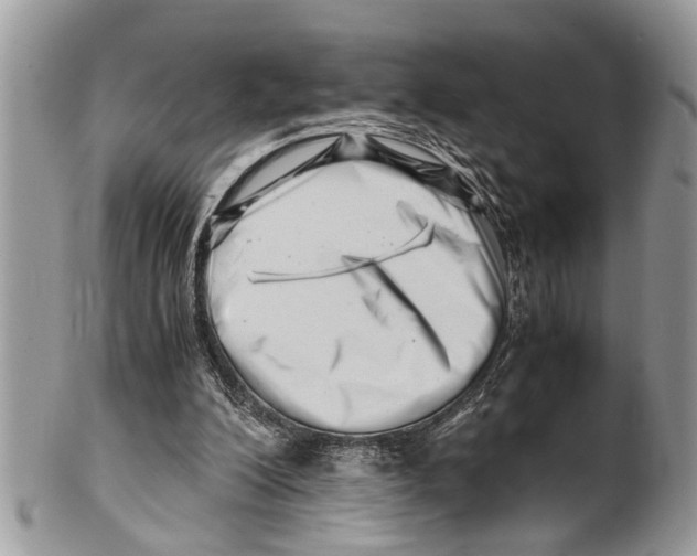 X0000101170200200807251140