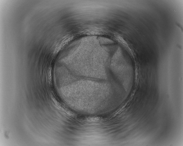X0000101170202200807251140