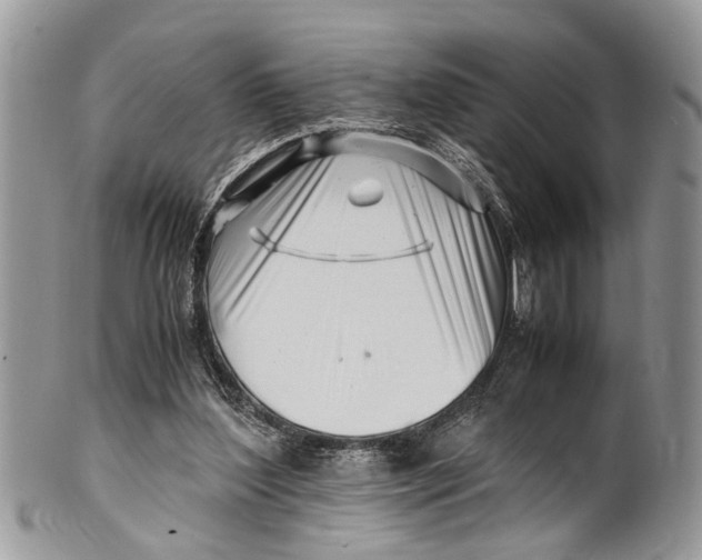 X0000101170204200807251140
