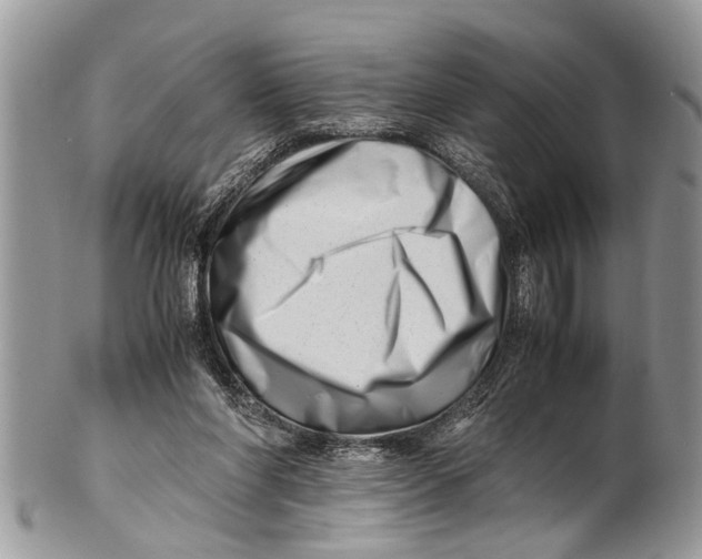 X0000101170206200807251140