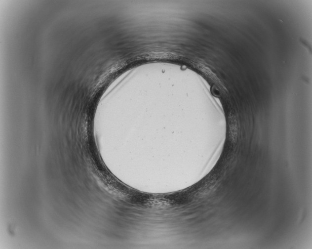 X0000101170207200807251140