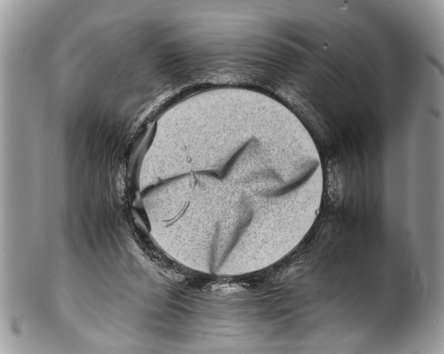 X0000101170208200807251140
