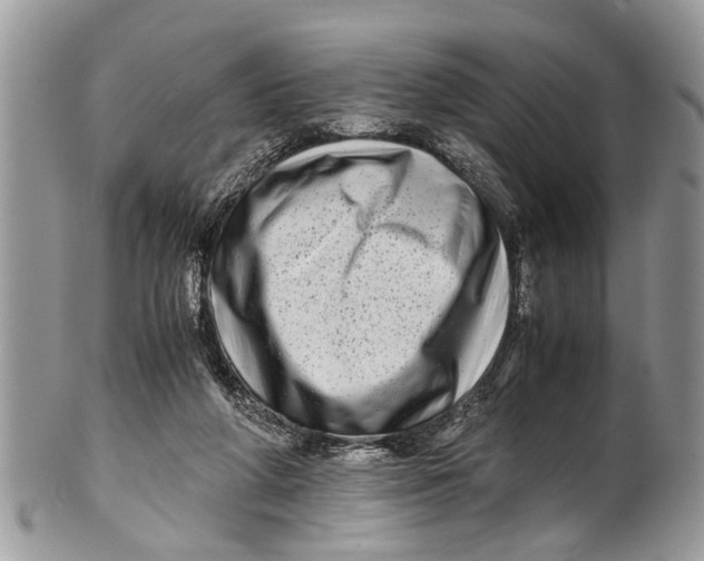 X0000101170210200807251140