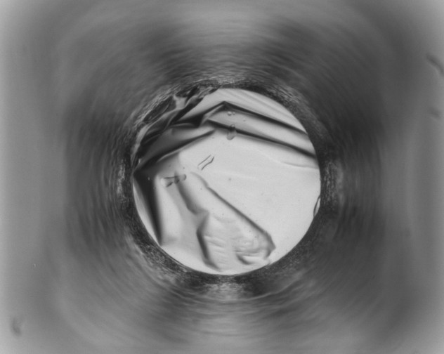 X0000101170212200807251140