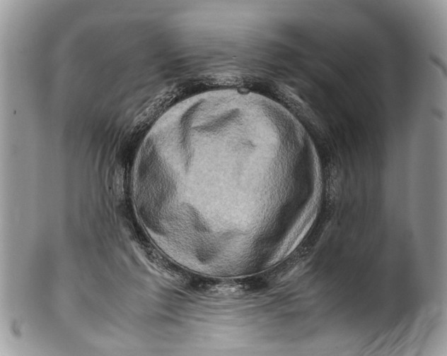 X0000101170213200807251140