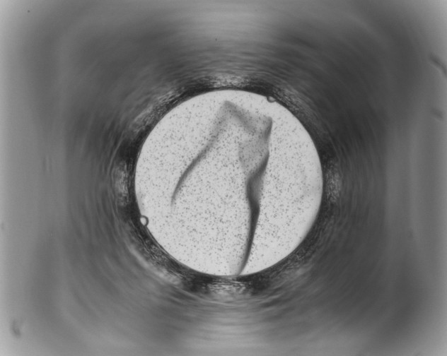 X0000101170215200807251140