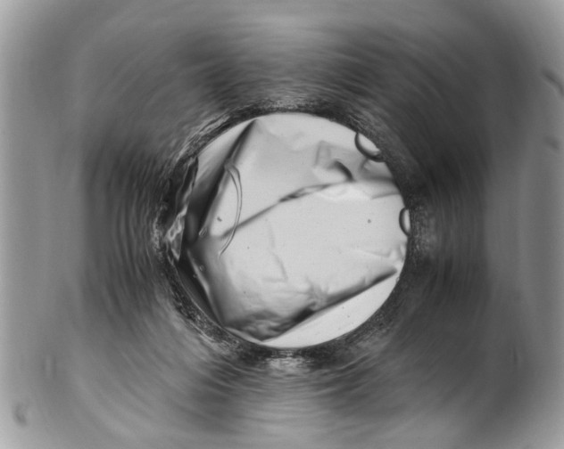 X0000101170216200807251140