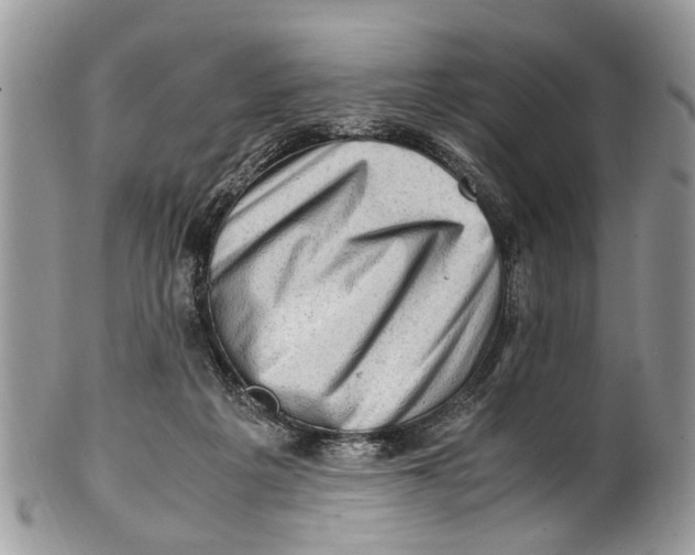 X0000101170217200807251140