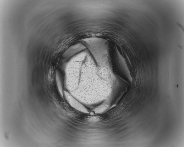 X0000101170218200807251140