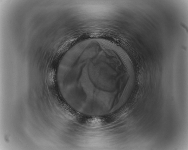 X0000101170219200807251140