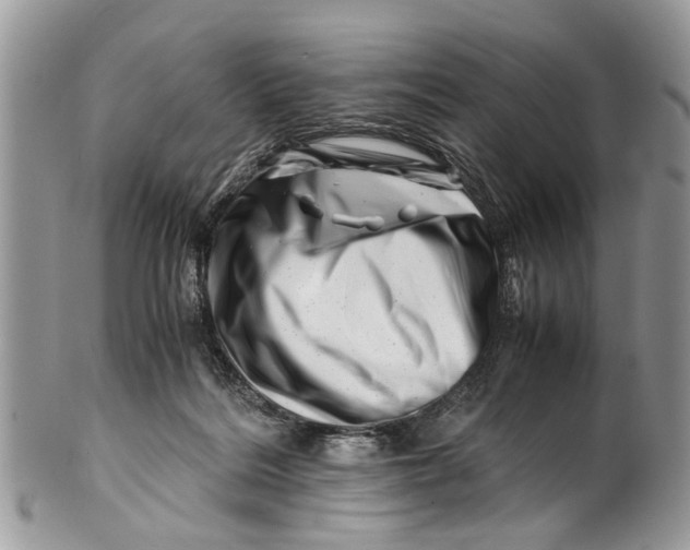 X0000101170220200807251140