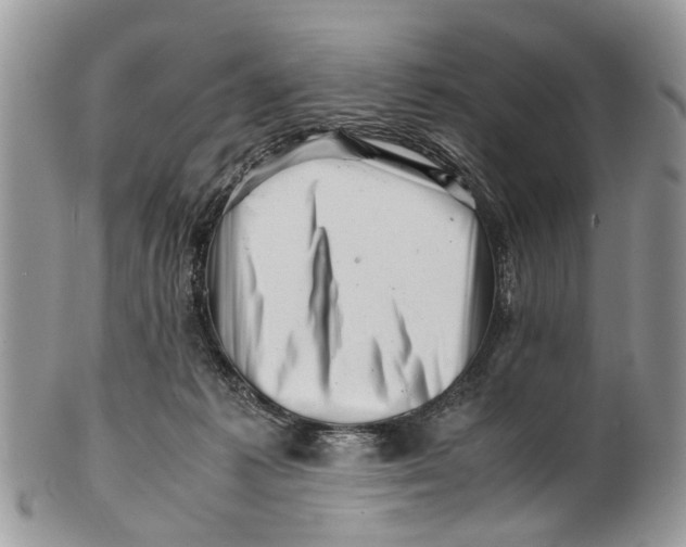 X0000101170221200807251140