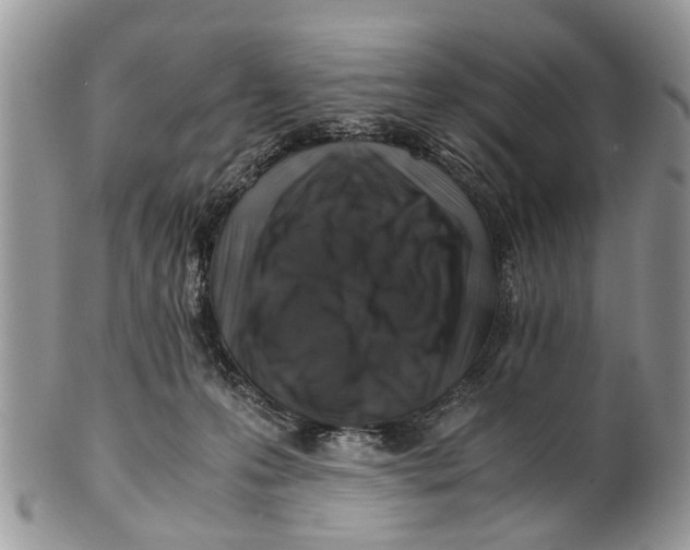 X0000101170223200807251140