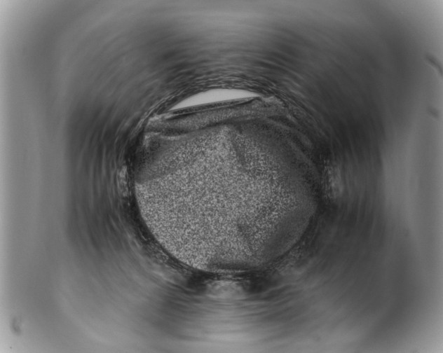 X0000101170224200807251140