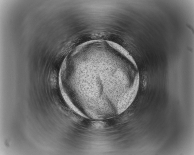 X0000101170226200807251140