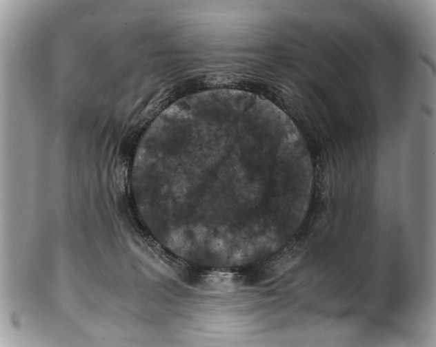 X0000101170227200807251140