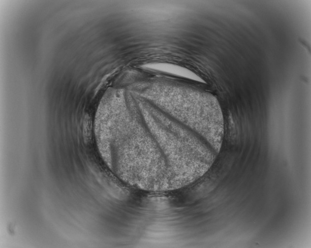 X0000101170228200807251140