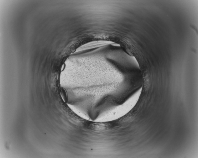 X0000101170229200807251140