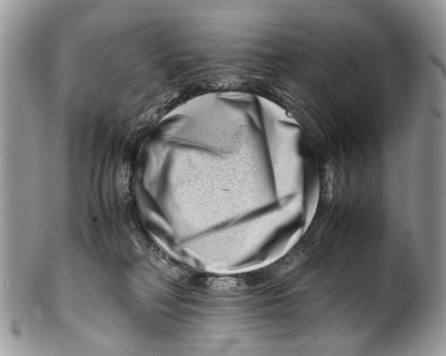 X0000101170230200807251140