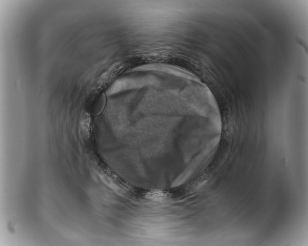X0000101170231200807251140