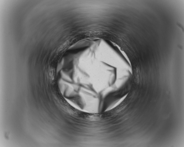 X0000101170232200807251140
